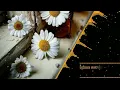 İçime sevda kaçar - HiraiZerdüş - Hirai Zerdüş
