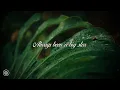 Fred again.., Amyl & the Sniffers - You're a star (lyrics)