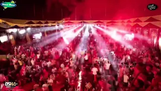 خفافيش الظلام    اوشا والسيد حسن عاملين ثورة في الشرقية   دندنها