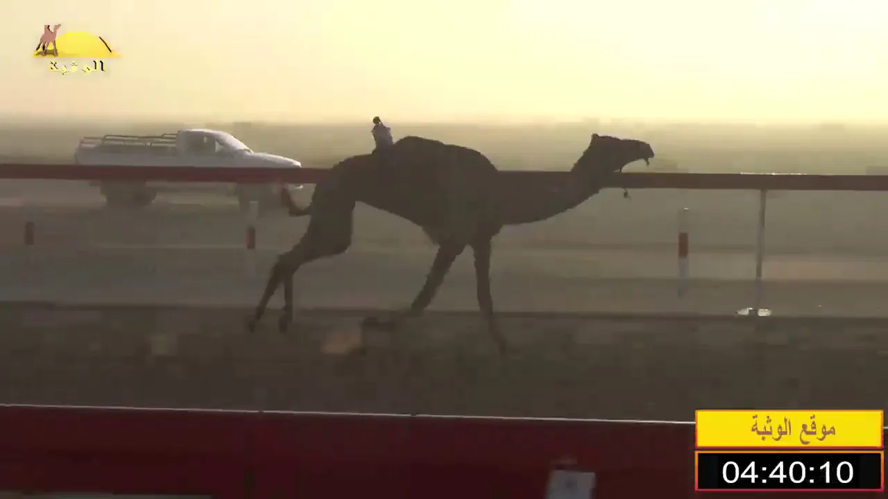 الشوط 6 (شوده) لـ محمد العصري سعيد الخيلي , شارة الإتحاد الخميس 2019/12/5 رماح حول