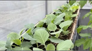 Our youth at the heart of Environmental Sustainability