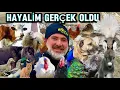 Lagu ÇOK PARANIZ OLSA NE YAPARSINIZ / ŞEHİRDEN KÖYE GÖÇ ETTİ / İŞ ADAMI CELAL ABİNİN MUAZZAM ÇİFTLİĞİ 