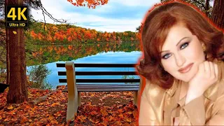 ميادة الحناوي كان ياما كان مع كلمات الاغنية من نوفلن البناء 