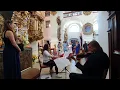 Download Lagu Falling slowly - Glen Hansard a Markéta Irglová, (cover by Lecians music) wedding trio