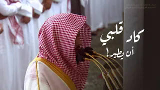 كاد قلبي أن يطير تلاوة للشيخ عبدالله القرافي من سورتي العنكبوت والروم تراويح ليلة 24 9 1445هـ 