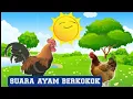 Download Lagu Ayam Berkokok |  ayam di pagi hari waktu subuh | ayam lucu