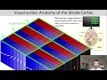 Introduction to Cognitive Neuroscience Session 4 2 Neural basis of visual processing cortex