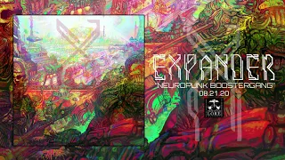 Download EXPANDER - Cryptosteal (official audio) MP3