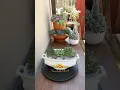 Download Lagu Basics  In Succulent Arrangement 🪴 #succulents #suculentas#garden