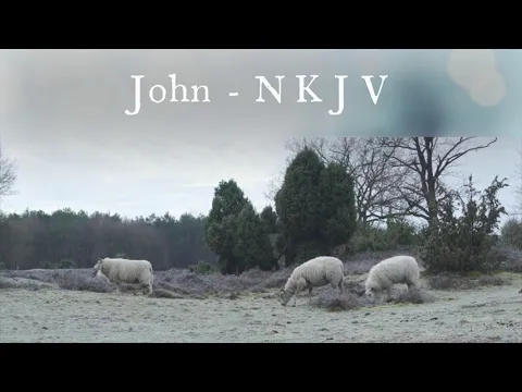 Download MP3 The Book of John - New King James Version (NKJV) - Audio Bible