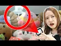 Download Lagu Boneka Aku Berhantu? [Play Things]