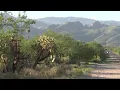 City to decide soon on controversial Tanque Verde housing project