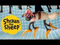 Download Lagu If You Can’t Stand the Heat | Shaun the Sheep | S1 Full Episodes