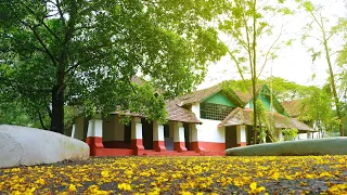 cms college album decade dreams d d m