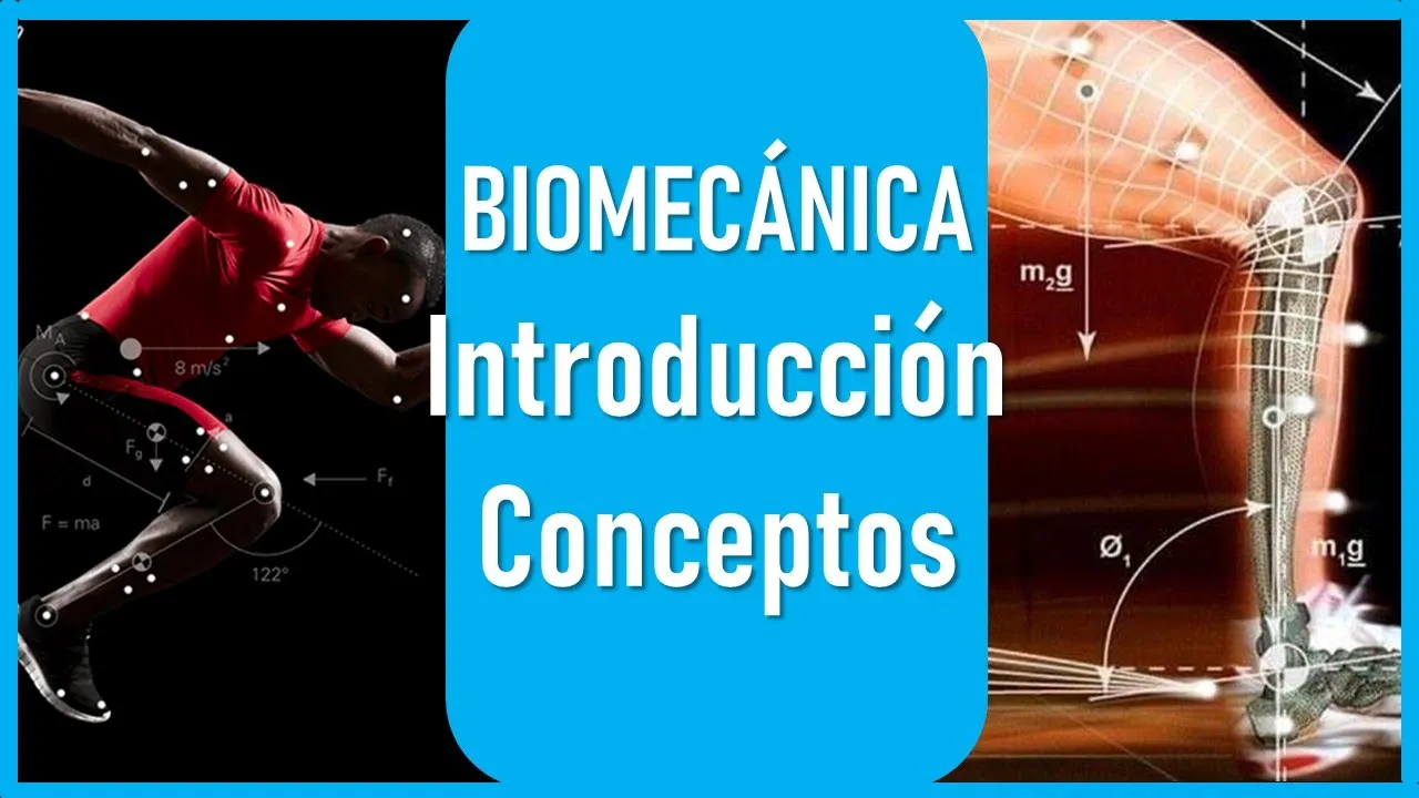 Introducción a la Biomecánica