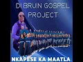 Nkapese Ka Matla