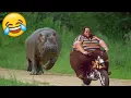 Download Lagu Best Funny Videos 🤣 - People Being Idiots / 🤣 Try Not To Laugh - BY Funny Dog 🏖️ #9