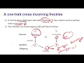 One trait inheritance