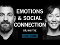 The Biology of Social Interactions Emotions Dr Kay Tye