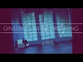 Download Lagu Gin$eng - We're dreaming