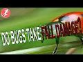 Do Bugs Take Fall Damage