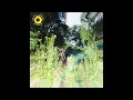 Rex Orange County - Sunflower (Official Audio)
