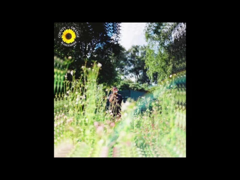 Download MP3 Rex Orange County - Sunflower (Official Audio)