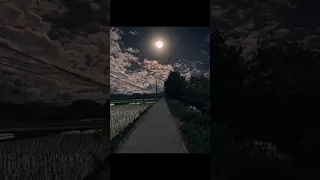 سوره الملك القارئ توفيق الحبشي 