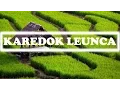 Download Lagu [KAREDOK LEUNCA] SUNDANESE INSTRUMENTALIA | DEGUNG SUNDA | INDONESIAN TRADITIONAL MUSIC