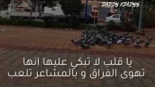 يا قلب لا تبكي عليها انها تهوى الفراق و بالمشاعر تلعب دندنها