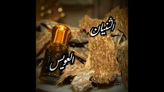 خبيتي الثنيان و العويس   ردو علي العب ردو   دندنها