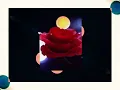 IMANU & What So Not & Wingtip - Pillow Talk (yunis Remix) (Visualizer)