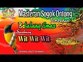 Download Lagu Masteran Sogok Ontong Tembakan Belalang Emas Sambung Wit Wit Wit DURASI PANJANG