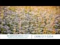Cremation Services Muscatine IA - Call us at 309 517-5254