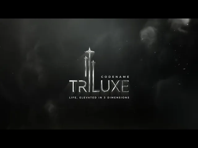 Project Video