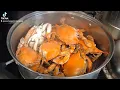 Live blue crab today All female 99 ranch