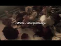 Lagu Caffeine - setangkai bunga (slowed + reverb)