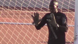 goalkeeper almounia