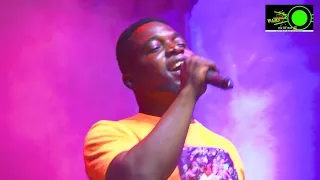 big brain i am alive today live performance