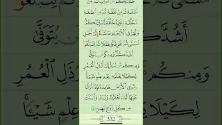 القرآن الكريم الجزء السابع عشر 17 القارئ الشيخ السديس و الشريم 