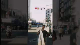 الشهيد المغدور حيدر محمد الزاملي 