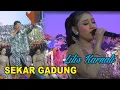 Download Lagu SEKAR GADUNG TERBARU...!!! Lilis Karnali #sekar gadung#campursari terbaru#campurari full albun