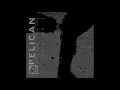 Lagu Pelican - The Woods