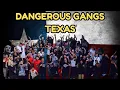 Texas Most Dangerous Gangs Bloods Crips Latin Folks of the Lone Star Streets