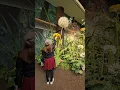 Download Lagu The Secret World of Arrietty ❤️ (Ghibli Park, Nagoya, Japan)