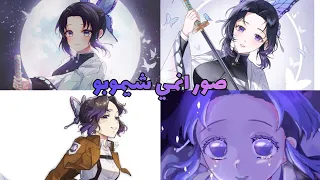 اجمل صور انمي قاتل الشياطين شينوبو لن اتركك يا انمي 