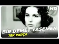 Lagu Bir Demet Yasemen - Eski Türk Filmi Tek Parça