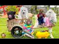 Download Lagu 365 Days of Baby Monkey YiYi Obediently Helps Grandpa Take Care of Friends