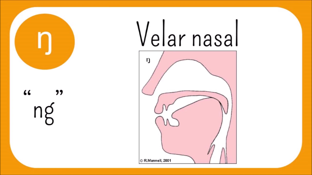 English Sonorants: Nasals and Approximants | Phonetics Guide