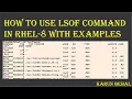How to Use LSOF Command in RHEL-8 With Examples in Hindi By Karun Behal